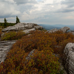 The Dolly Sods Vista View