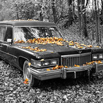Hearse