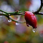 the beauty of the rain