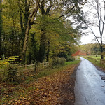 Northamptonshire country lane near Cottesbrooke
