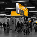 Follow Yellow Arrows