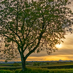 Fin de journ&eacute;e en Limagne