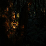 the nature of things (30)