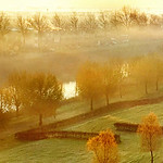 my morning sun for you!