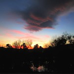 Another marvelous day is gone