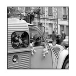 no seat belt! &bull; joigny, burgundy &bull; 2019