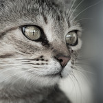 'Okay, now I'm really annoyed...'