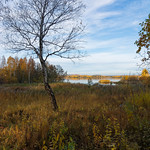 осенние зарисовки