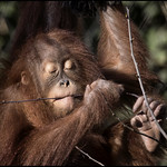 _SG_2020_03_0504_IMG_6164