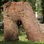 Almost human - Quase humana