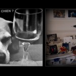 mon chat s'inqui&egrave;te pour le chien...