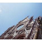 High up and into the sky. That's what they saw.