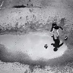 Let the children play