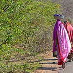 Road Portraits Rajasthan DSC_0635