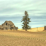 Everything Is Abandoned