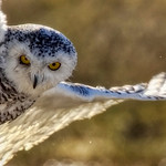 I am outta here! &copy;