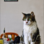 Marcus sur la table..