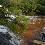 Queens Cascade at Wentworth Falls