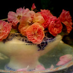 Roses in Grandma&acute;s tureen.