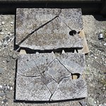 Two sisters one named Sister the other Thomasin