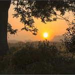 Walking On Sunshine..