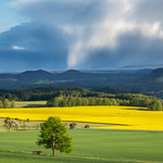 a place to be - Ein Platz zum Bleiben