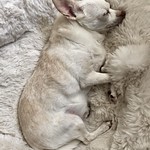 Sleeping Beauty [Explored 21/7/20]