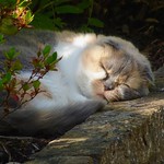 A P.M. Zzzzzzzzzzzzzzz ......