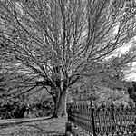 Second burial ground.