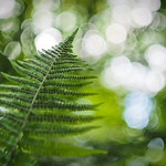 Let's dream together