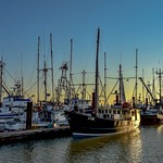 Port Side Gold - Steveston, British Columbia