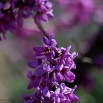 Statistics are like bikinis. What they reveal is suggestive....