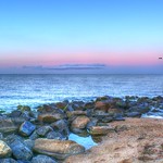 Breathing The Fresh Air...