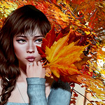 Autumn Leaves - close up