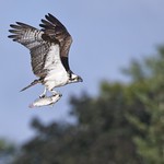 Early lunch for the family