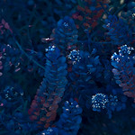 Before time runs off me