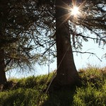Controluce