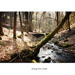 Along the creek
