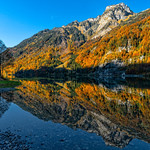 Golden reflections 065