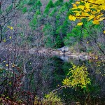 Tranquil river in autumn