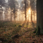 The uplifting light.