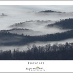Fogscape