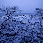 The Blue Moment 🌴