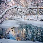 Rayons de lumière sur le lac gelé