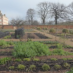Kitchen Garden, Ham House, Richmond, London