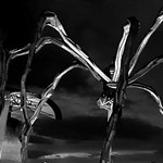 En la noche..! At night..!