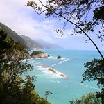 Travelling Memories : Through The Trees @ Monterosso al Mare