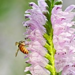 C&oacute;mo orar razonablemente