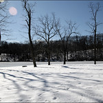 Gorgeous Day Today...