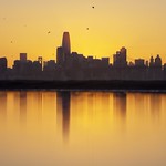 From inception to inversion